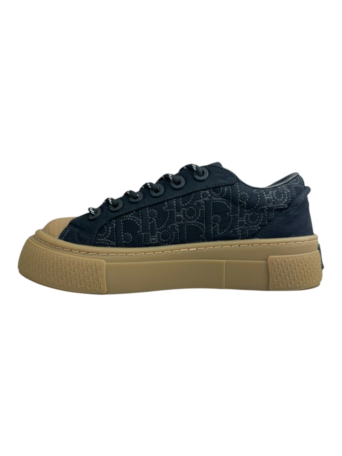 Dior and Stone B33 Sneaker
