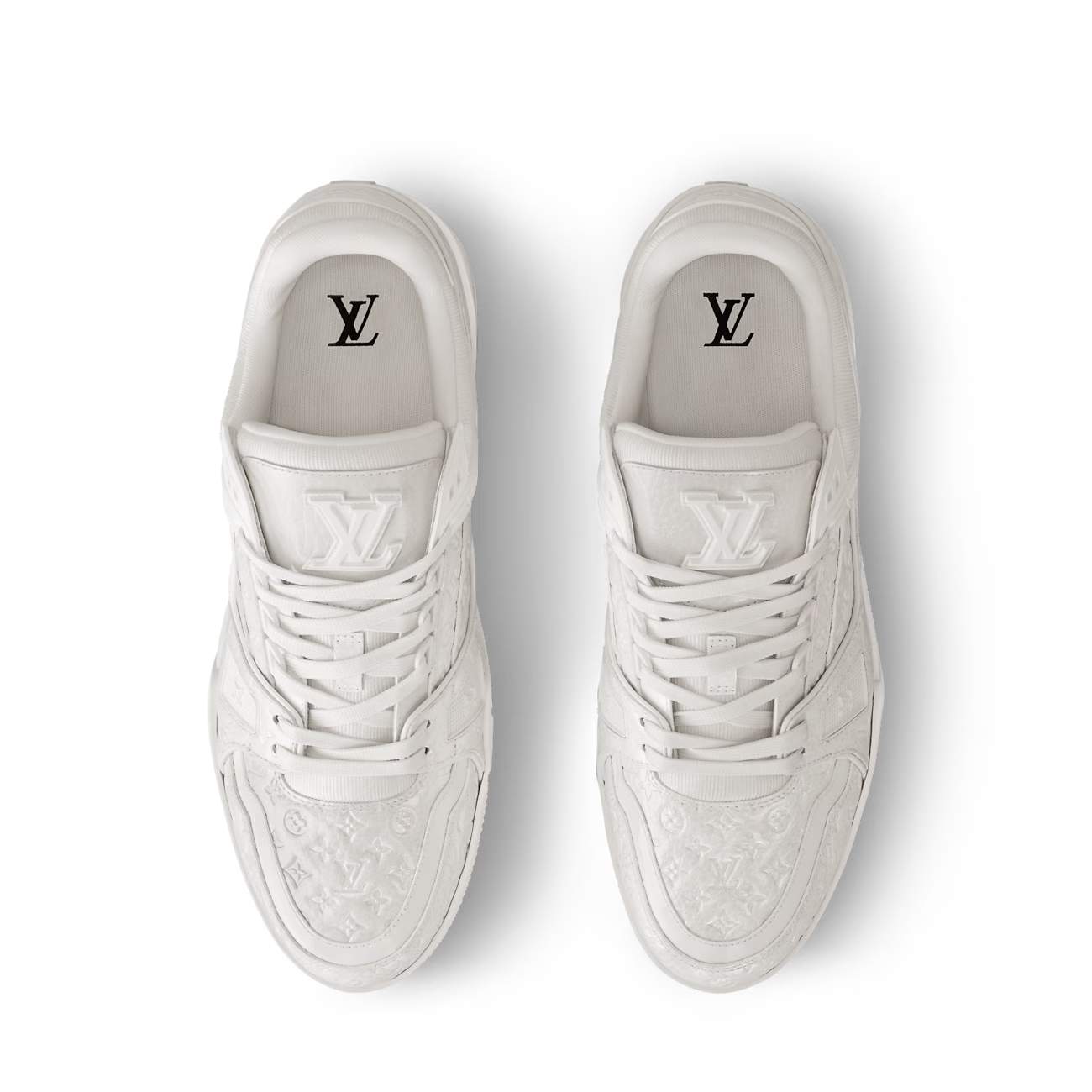 Trainer Sneaker Signature
