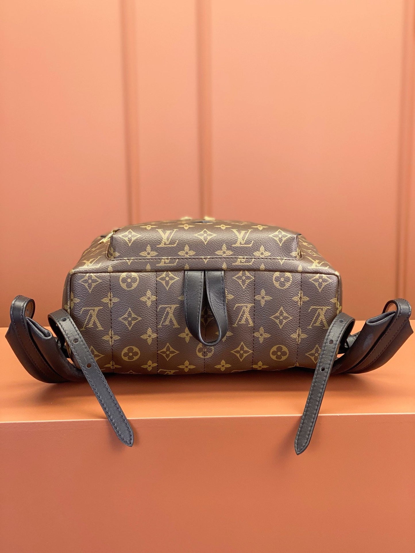 Palm Springs MM Monogram Canvas Handbags