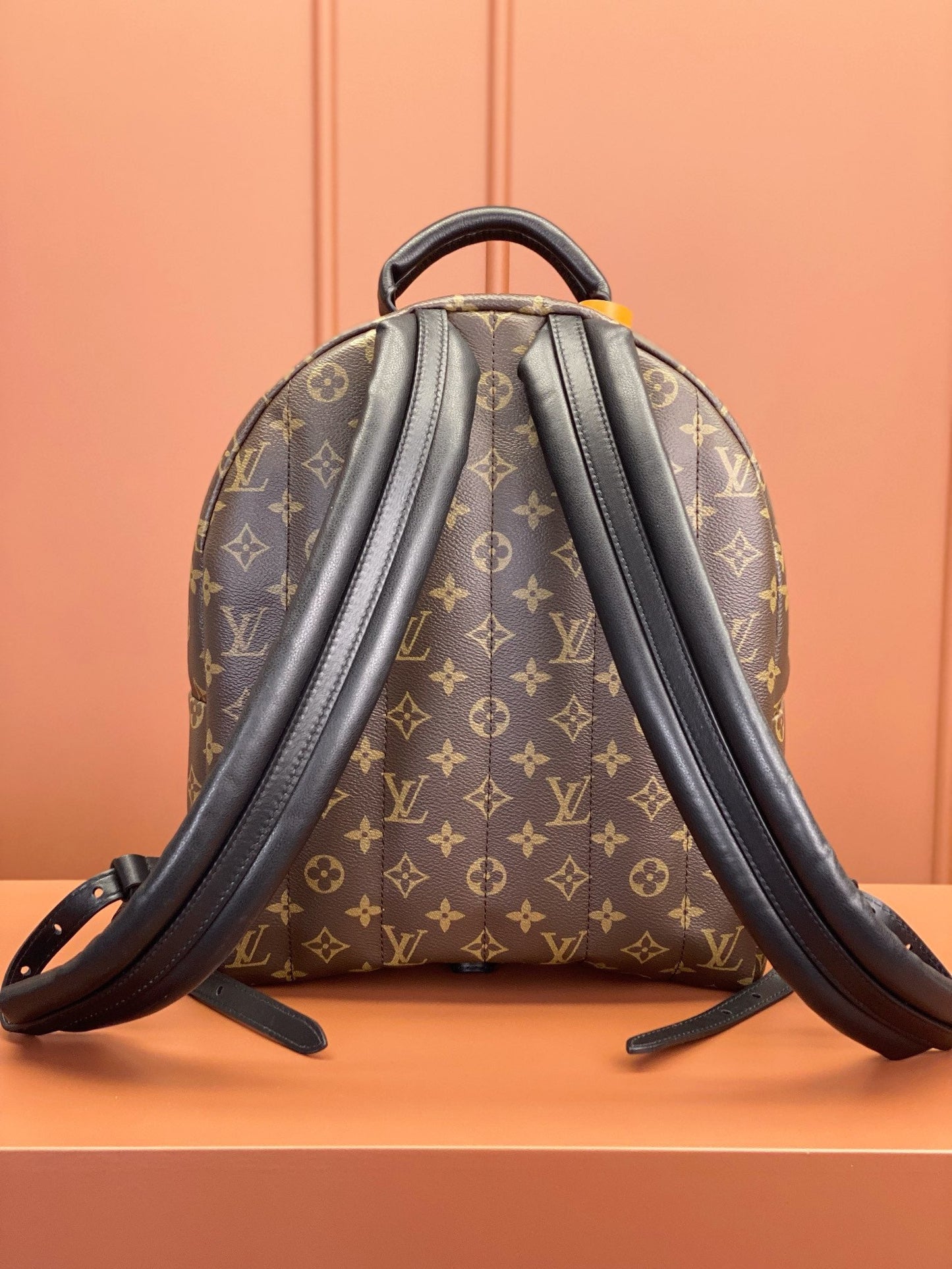 Palm Springs MM Monogram Canvas Handbags